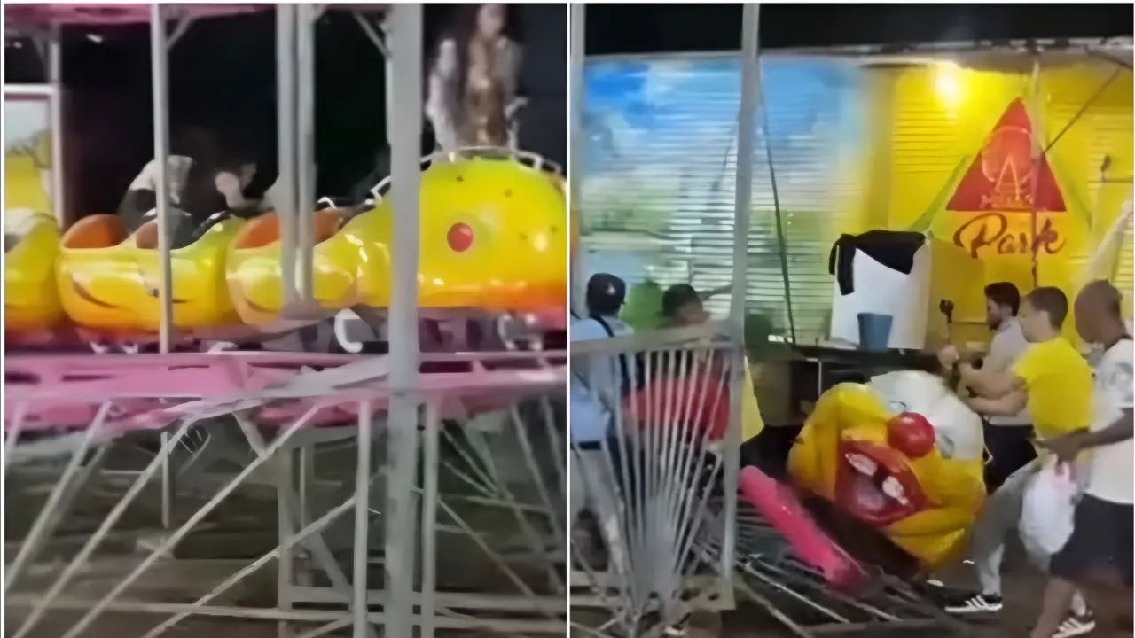 Reprodução
