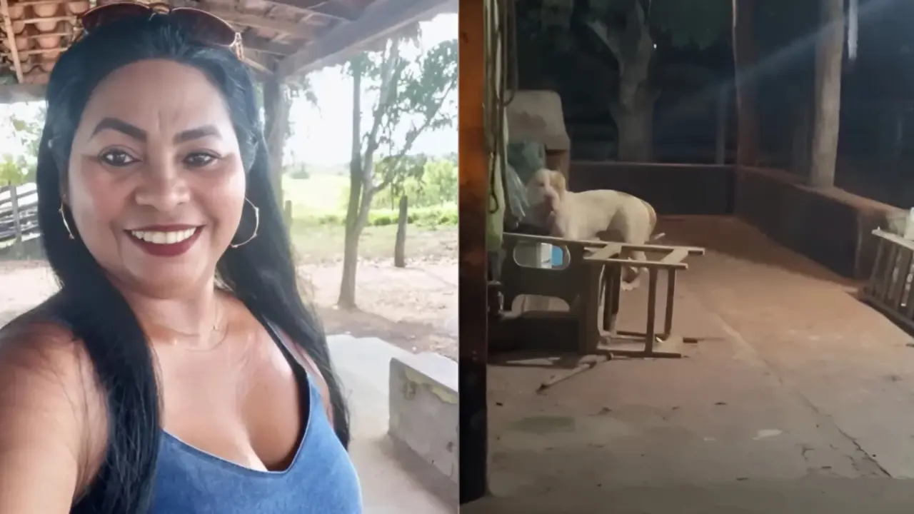 Reprodução