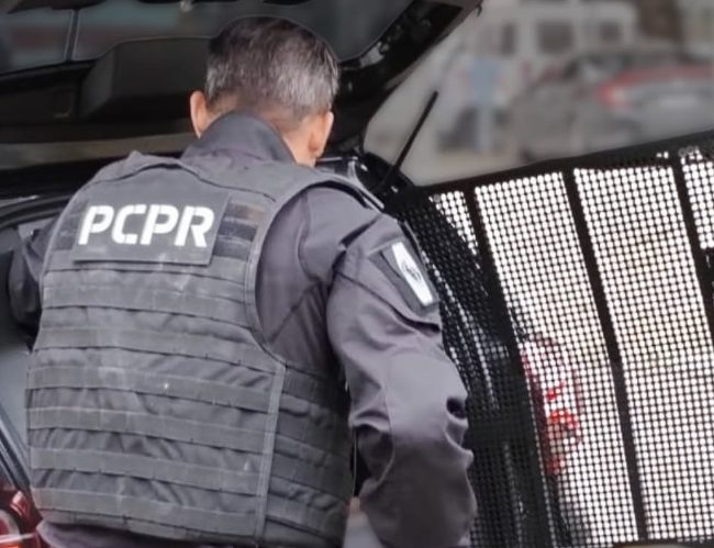(Foto: Polícia Civil PR)