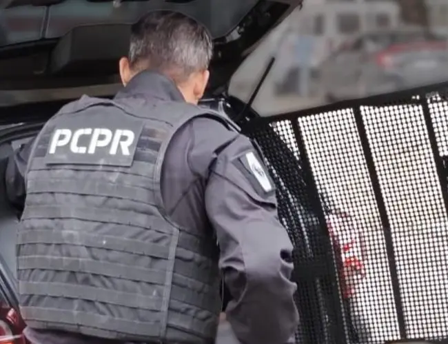 (Foto: Polícia Civil PR)