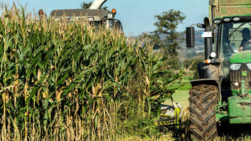 Vítima de 69 anos não resistiu aos ferimentos após tentar manejar palha no equipamento com o pé em propriedade na zona rural | Foto: Ilustrativa / Pexels