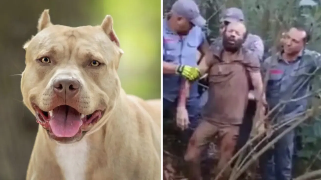 Homem sendo resgatado após ataque de pitbull (Foto: Reprodução)