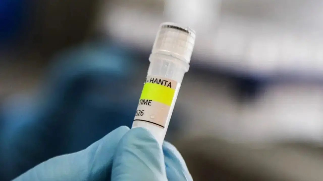 Hantavírus (Foto: Reprodução)