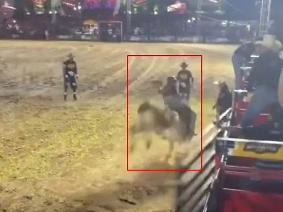 Vídeo mostra momento em que touro passa por cima de peão após queda em rodeio