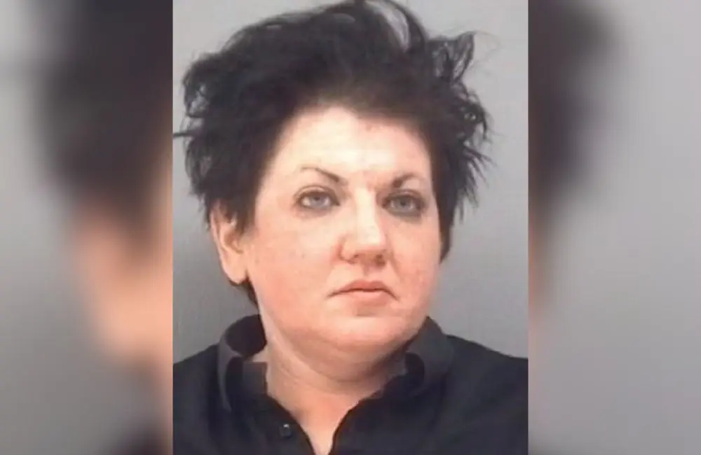 Monique Megchiani, de 48 anos (Foto: Reprodução)