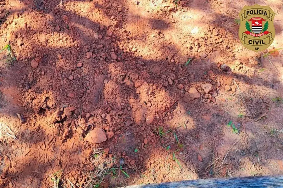 Casal é preso após enterrar e queimar corpo de recém-nascido (Foto: Divulgação/PCSP)
