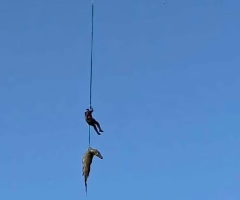 Restos mortais são encontrados dentro de crocodilo (Foto: Reprodução)