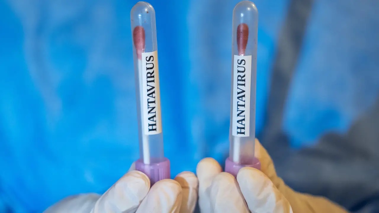 Brasil contabiliza casos de hantavírus e liga sinal de alerta (Foto: Reprodução)