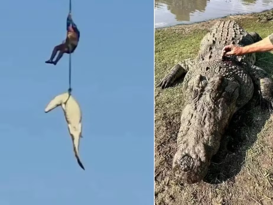 Crocodilo que engoliu empresário desaparecido em enchente é abatido (Foto: Reprodução/Redes sociais)