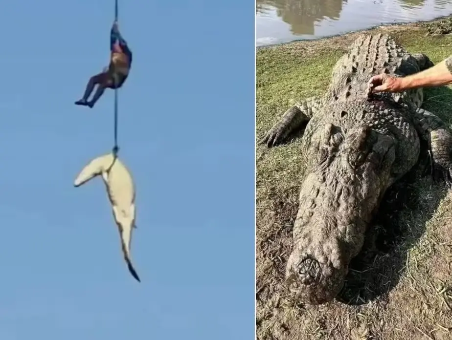 Crocodilo que engoliu empresário desaparecido em enchente é abatido (Foto: Reprodução/Redes sociais)