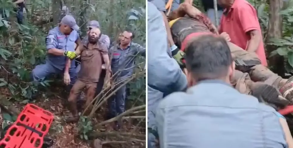 Suspeito foi atacado por quatro pitbulls ao tentar invadir chácara em Franca, SP — Foto: Redes sociais