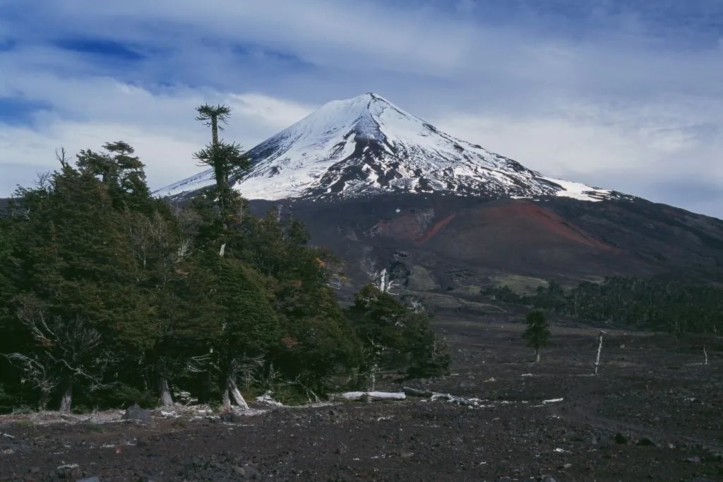Vulcão Llaima, Parque Nacional Conguillío, Araucanía, Chile - Foto: Reprodução/Redes Sociais 