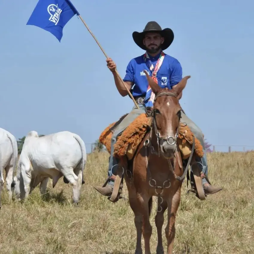 Peão morre após ser pisoteado por touro rodeio (Foto: Reprodução/Redes sociais)