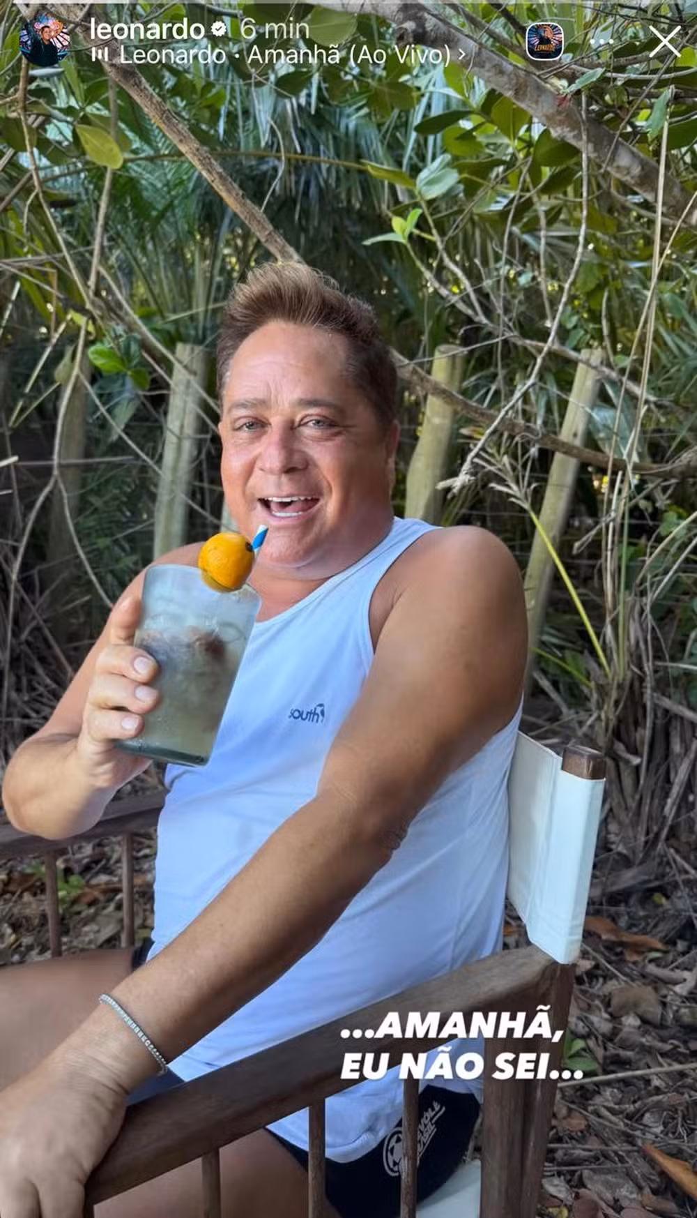 Storie do cantor Leonarod publicado durante a festa de Maria Alice || Reprodução: Redes Sociais