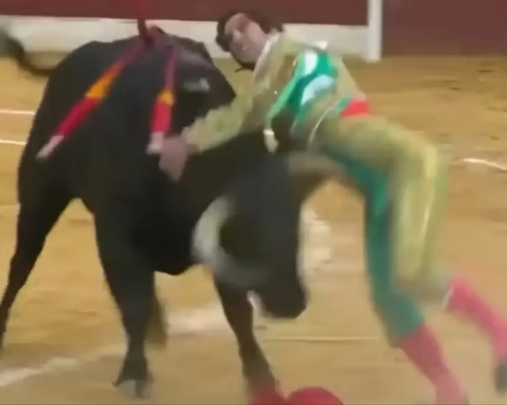Toureiro ferido por touro. (Reprodução)