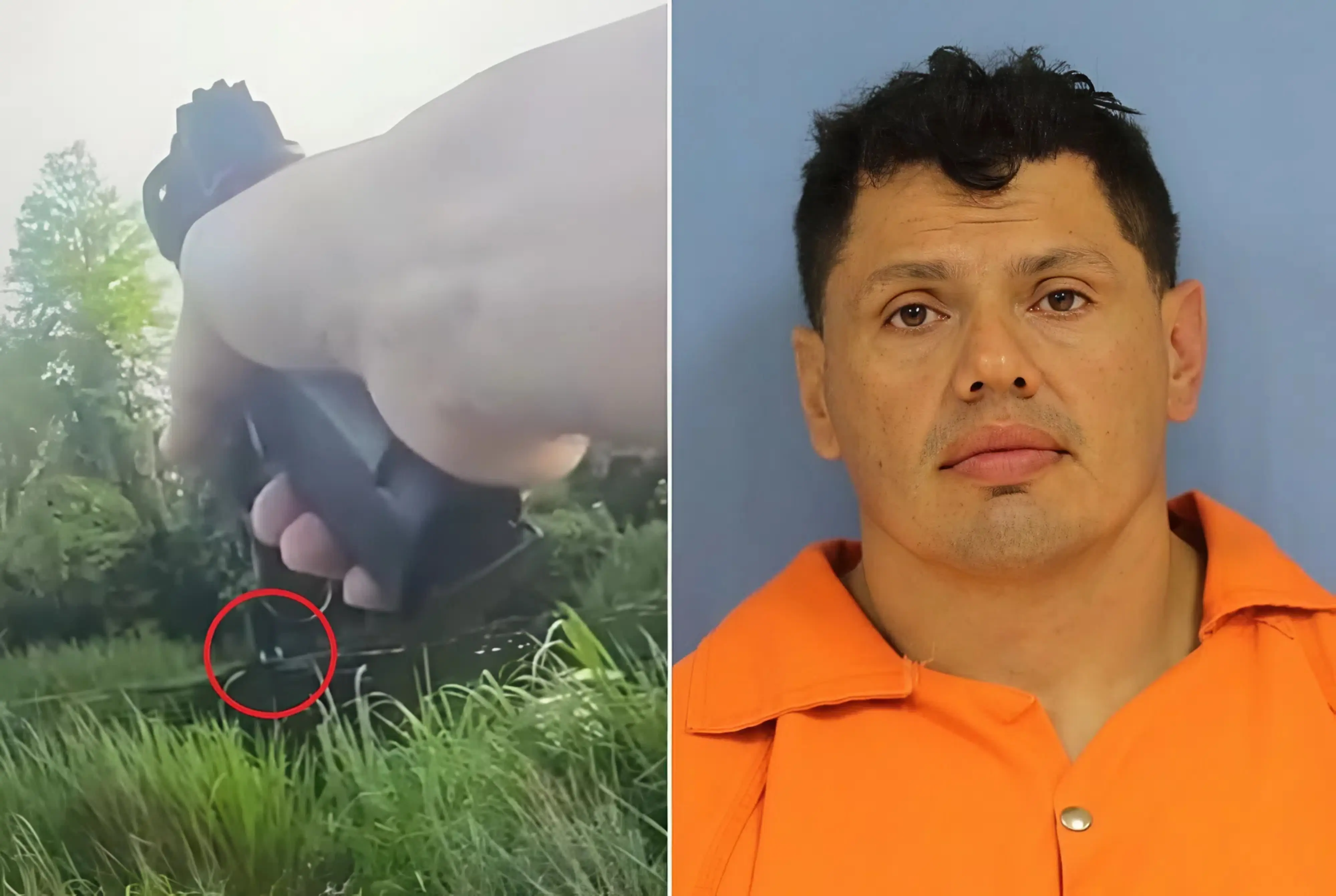 Homem foge da polícia e é atacado brutalmente por jacaré; vídeo choca