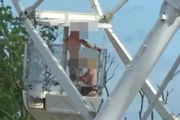 (Foto: Reprodução)