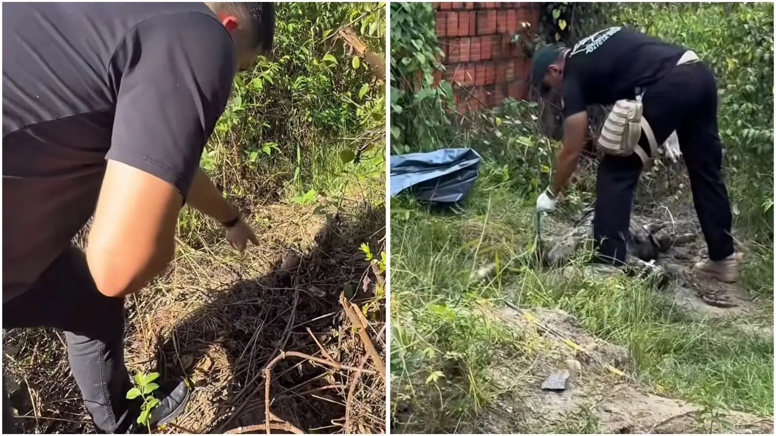 Deputado encontra corpo em matagal durante gravação de vídeo (Foto: Reprodução/Redes sociais)