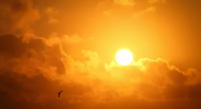 El Niño já começou no Brasil; saiba impactos nos próximos meses