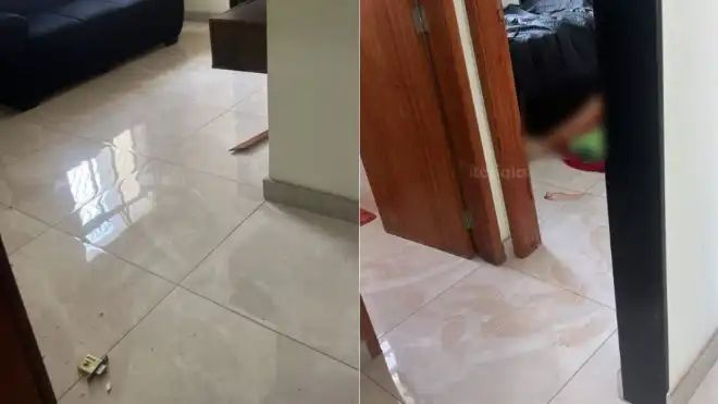 (Foto: Reprodução)