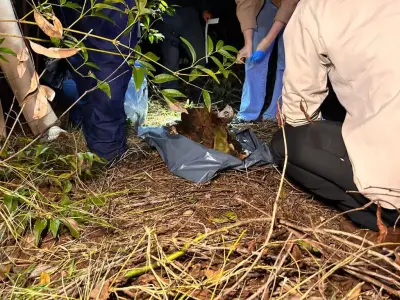 Ossada humana é encontrada ao lado de Bíblia em fazenda