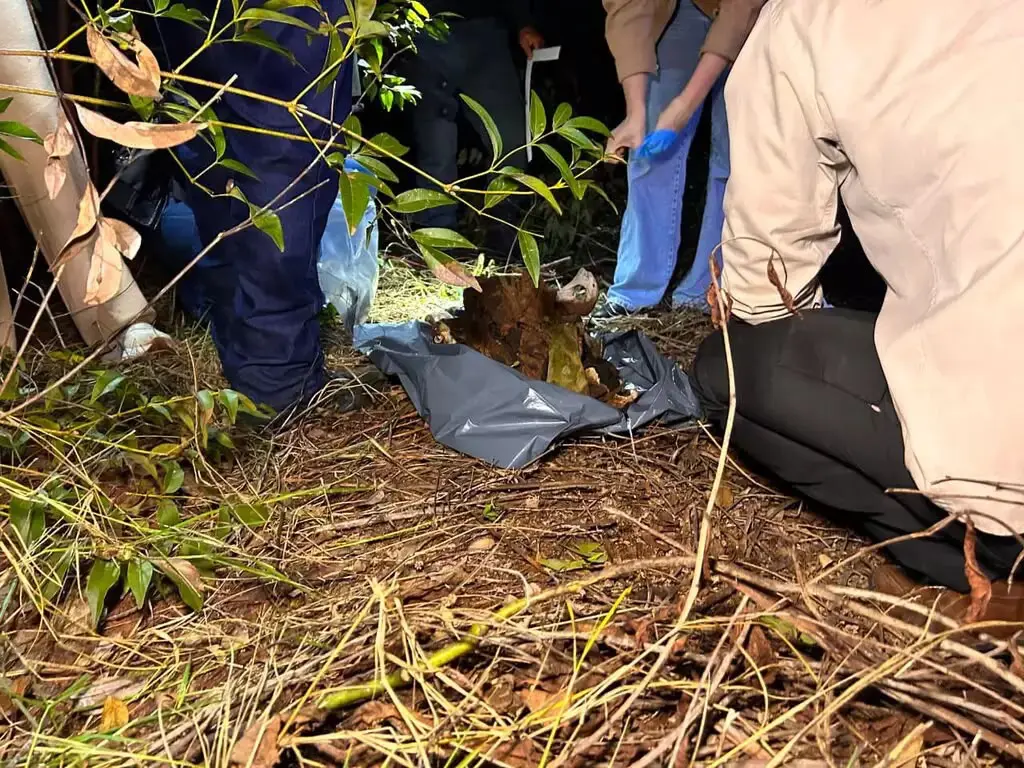 Ossada humana é encontrada ao lado de Bíblia em fazenda (Foto: Reprodução/ 24 News MS)
