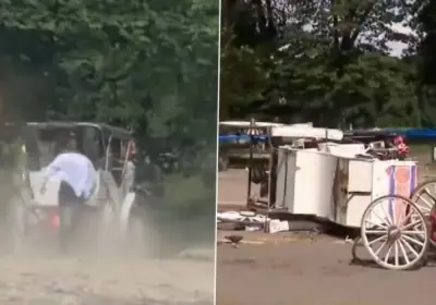 Turista morre após cair de carruagem desgovernada nos Estados Unidos; veja vídeo