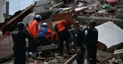 Da busca ao reconhecimento: entenda o papel da perícia após o terremoto na Venezuela