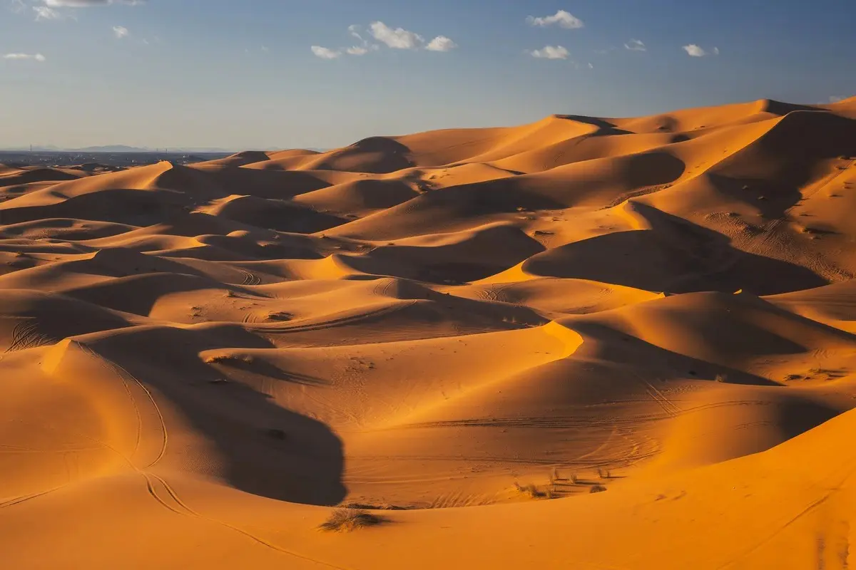 49 pessoas morrem de sede após caminhão quebrar em região isolada do deserto