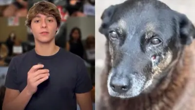 Jovem citado no caso da morte do cão Orelha faz apelo após ser alvo de ataques; veja vídeo