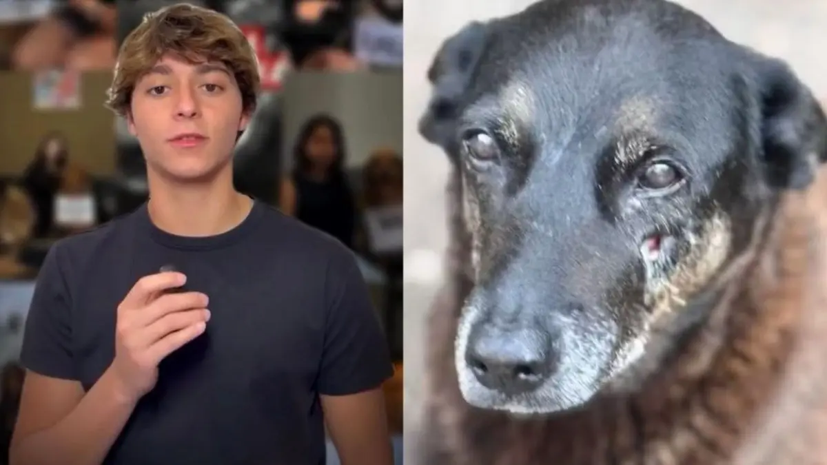 Acusado pela morte do cão Orelha se pronuncia pela primeira vez sobre o caso (Foto: Reprodução/Redes sociais)