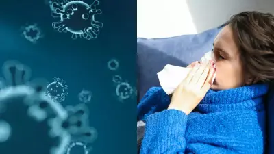 Infectologista explica diferenças entre gripe, resfriado, H1N1 e pneumonia