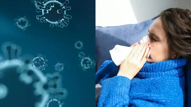 Infectologista explica diferenças entre gripe, resfriado, H1N1 e pneumonia