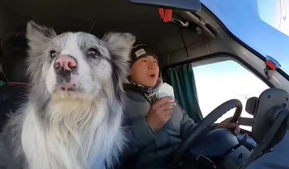 Guo ao lado de seu cão, Chutou