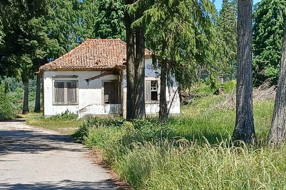 Madrasta matou menina de 8 anos