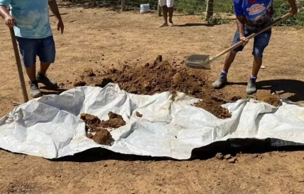 Filhos confessaram terem matado o pai quatro anos atrás (Foto: Reprodução)