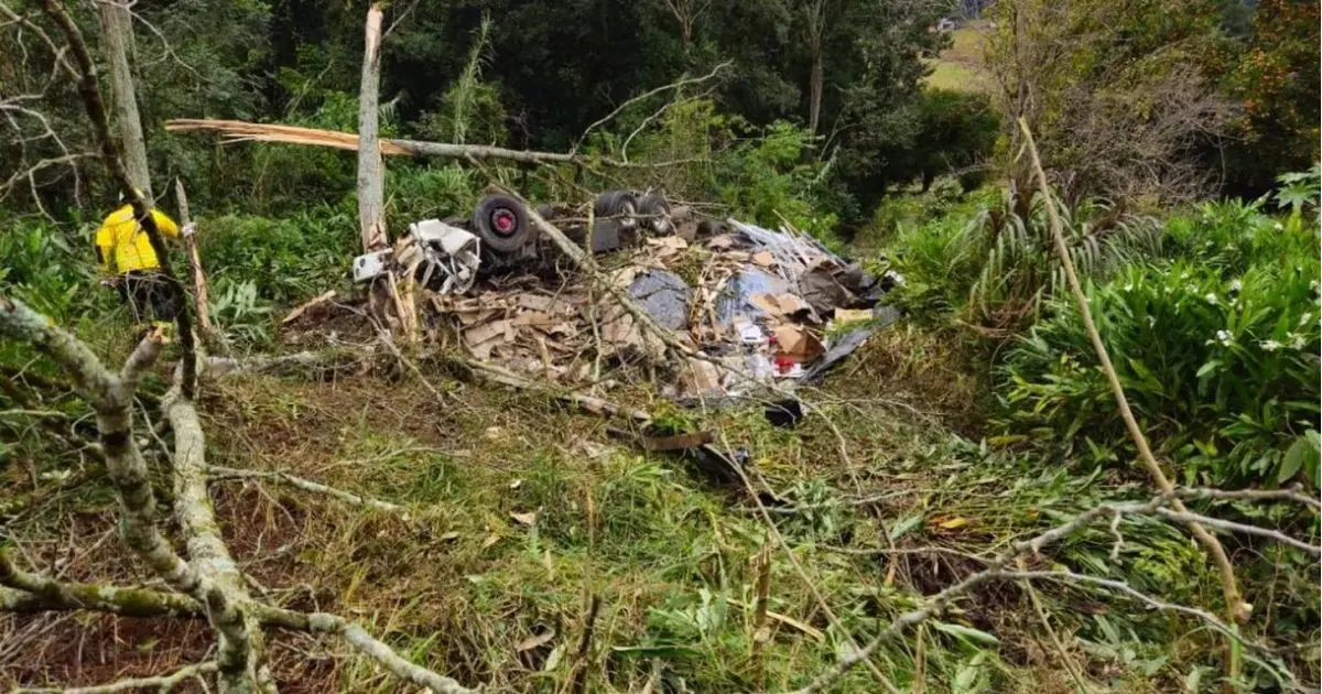 Foto: Reprodução.