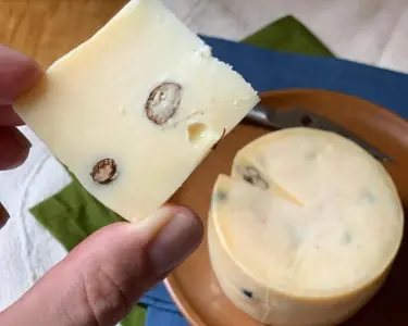 Teria coragem? Queijo feito com formiga chama atenção da web