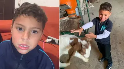 Menino autista de 5 anos desaparece e mobiliza força-tarefa no Paraná