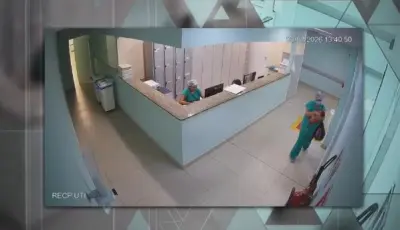 Funcionária tenta levar recém-nascida em bolsa e caso choca maternidade