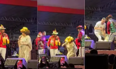 Alcione sofre acidente durante show e assusta fãs; veja vídeo