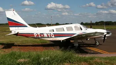 Queda de avião no MS: pesquisadora alemã especialista em tamanduás é uma das vítimas