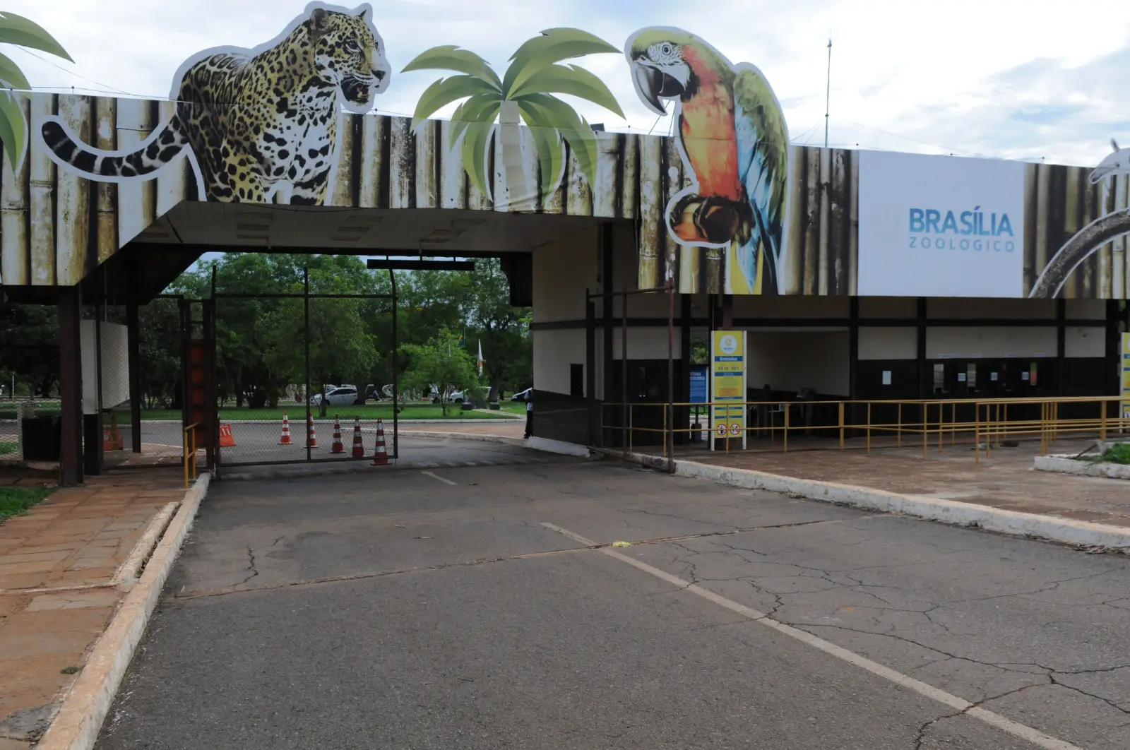 Mulher invade recinto de elefante no Zoológico de Brasília
