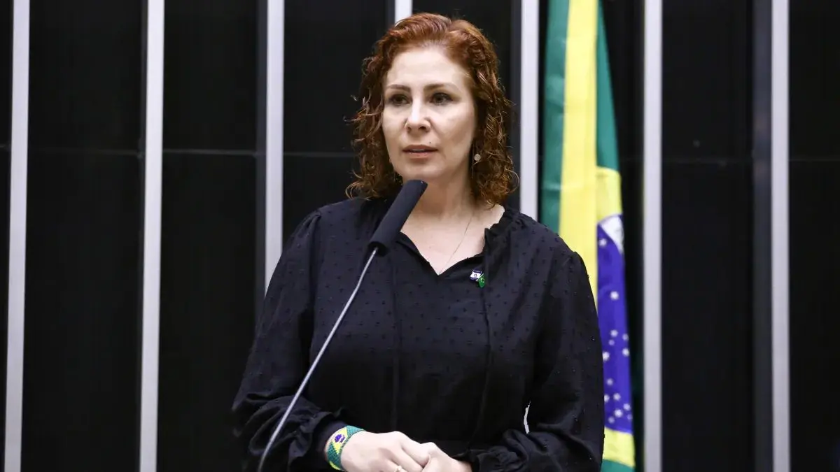 Ex-deputada federal Carla Zambelli (Foto: Vinicius Loures / Câmara dos Deputados)